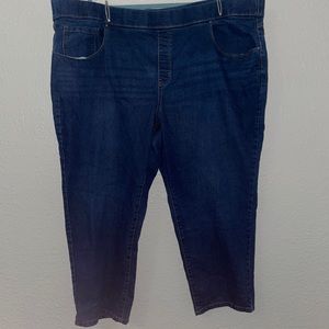 Walmart Brand Size 4X Jeans